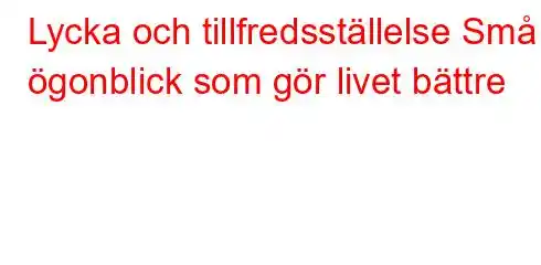 Lycka och tillfredsställelse Små ögonblick som gör livet bättre