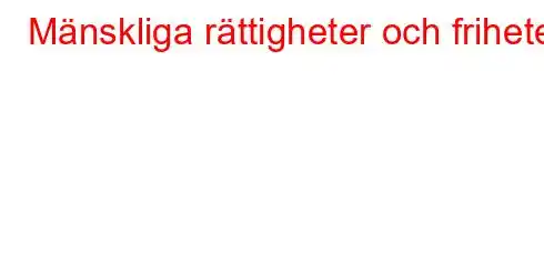 Mänskliga rättigheter och friheter