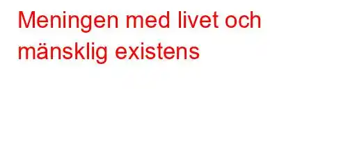 Meningen med livet och mänsklig existens