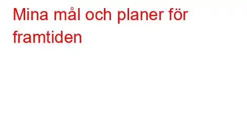 Mina mål och planer för framtiden