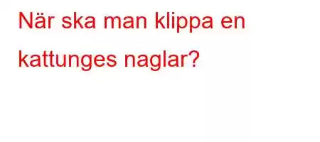 När ska man klippa en kattunges naglar?