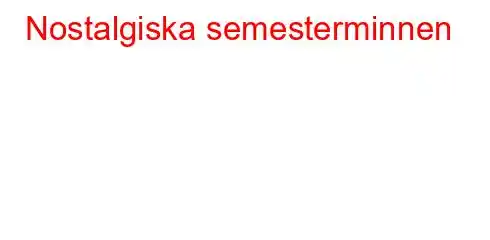 Nostalgiska semesterminnen