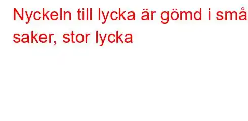 Nyckeln till lycka är gömd i små saker, stor lycka