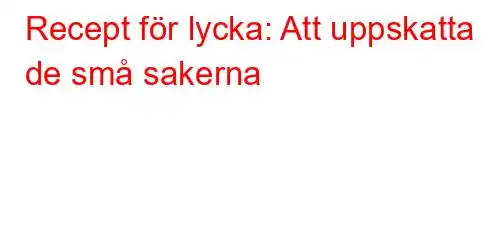 Recept för lycka: Att uppskatta de små sakerna