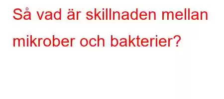 Så vad är skillnaden mellan mikrober och bakterier?