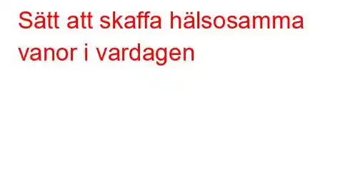 Sätt att skaffa hälsosamma vanor i vardagen