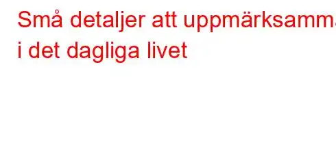 Små detaljer att uppmärksamma i det dagliga livet