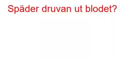 Späder druvan ut blodet?