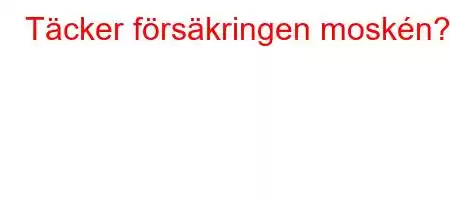 Täcker försäkringen moskén?