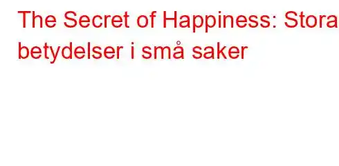 The Secret of Happiness: Stora betydelser i små saker