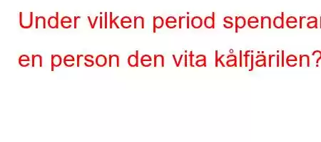 Under vilken period spenderar en person den vita kålfjärilen