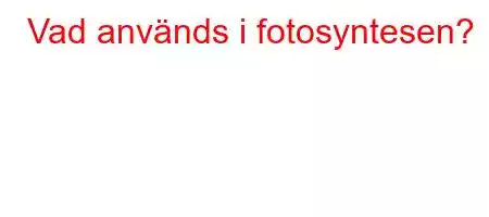 Vad används i fotosyntesen?