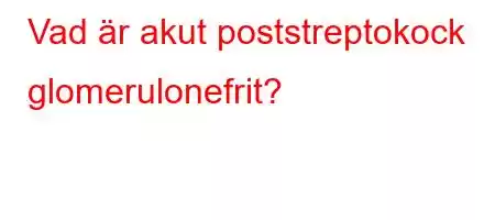 Vad är akut poststreptokock glomerulonefrit