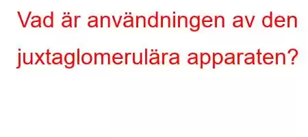 Vad är användningen av den juxtaglomerulära apparaten