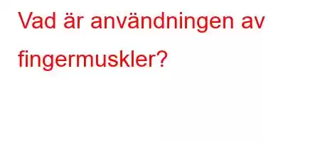 Vad är användningen av fingermuskler