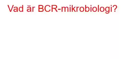 Vad är BCR-mikrobiologi?