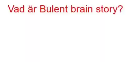 Vad är Bulent brain story