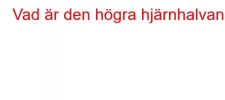 Vad är den högra hjärnhalvan?