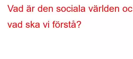 Vad är den sociala världen och vad ska vi förstå?