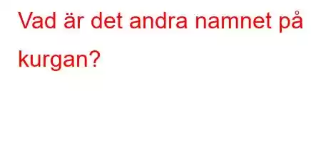 Vad är det andra namnet på kurgan