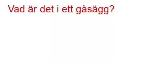 Vad är det i ett gåsägg