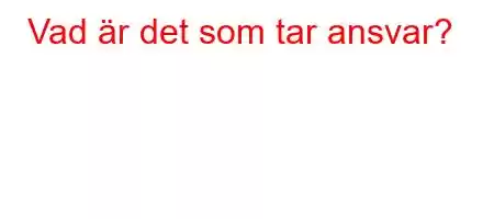 Vad är det som tar ansvar