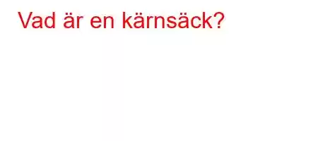 Vad är en kärnsäck?