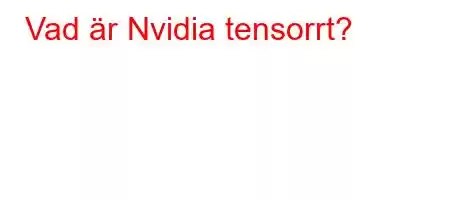 Vad är Nvidia tensorrt