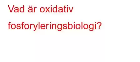 Vad är oxidativ fosforyleringsbiologi