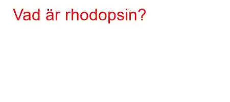 Vad är rhodopsin