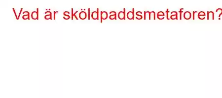 Vad är sköldpaddsmetaforen?