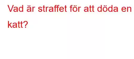 Vad är straffet för att döda en katt?