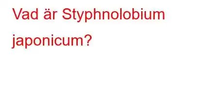 Vad är Styphnolobium japonicum?