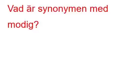 Vad är synonymen med modig?