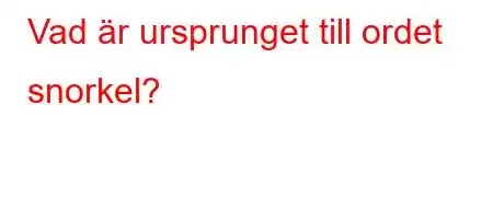 Vad är ursprunget till ordet snorkel?