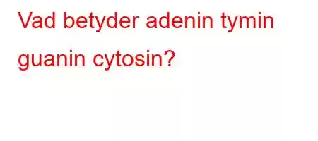 Vad betyder adenin tymin guanin cytosin?