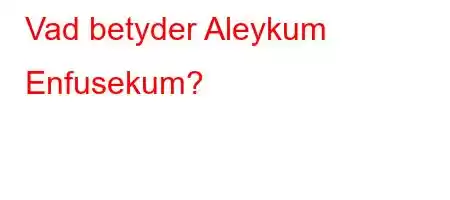 Vad betyder Aleykum Enfusekum