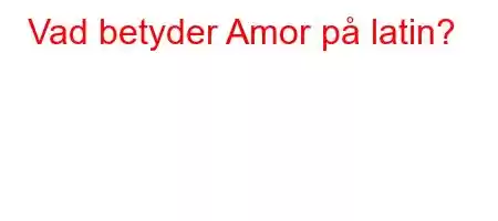 Vad betyder Amor på latin