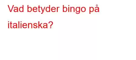 Vad betyder bingo på italienska