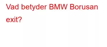 Vad betyder BMW Borusan exit?