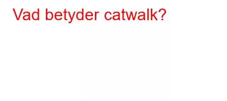 Vad betyder catwalk?