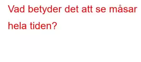 Vad betyder det att se måsar hela tiden?