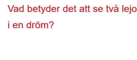 Vad betyder det att se två lejon i en dröm