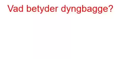 Vad betyder dyngbagge?