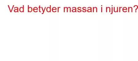 Vad betyder massan i njuren?