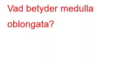 Vad betyder medulla oblongata