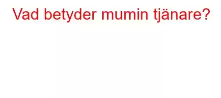 Vad betyder mumin tjänare