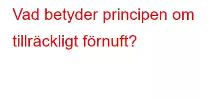 Vad betyder principen om tillräckligt förnuft