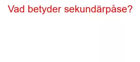 Vad betyder sekundärpåse