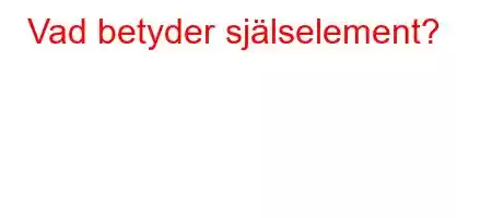 Vad betyder själselement?